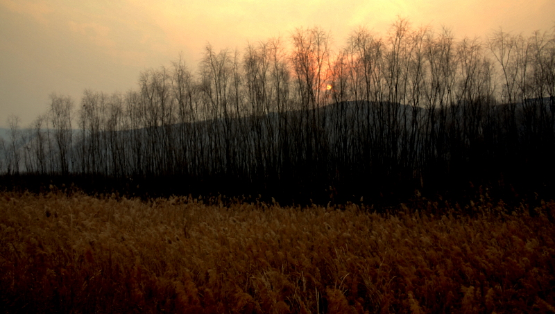 DSC_2219-001.jpg