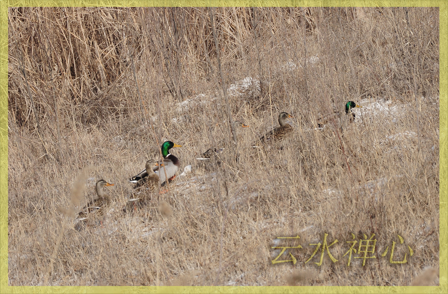 DSC_0231.JPG