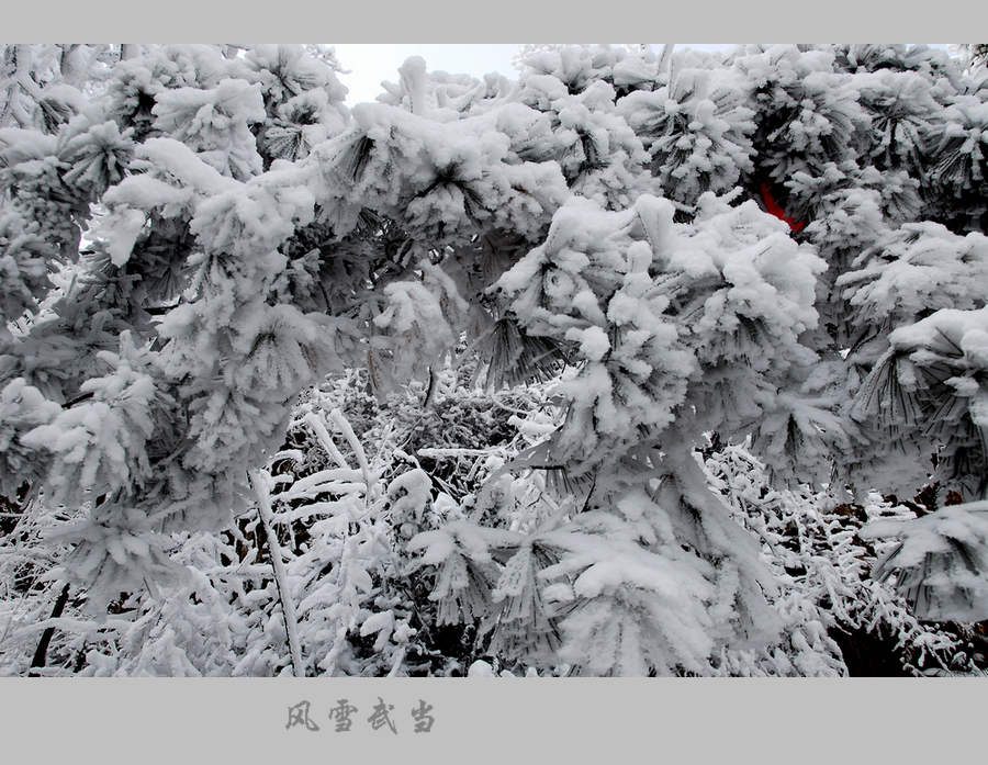 武当风雪7.JPG