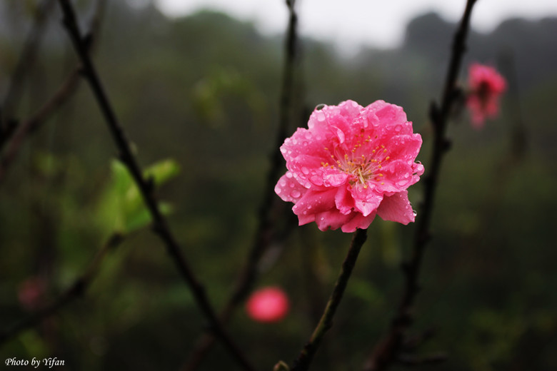 IMG_7919_副本.jpg