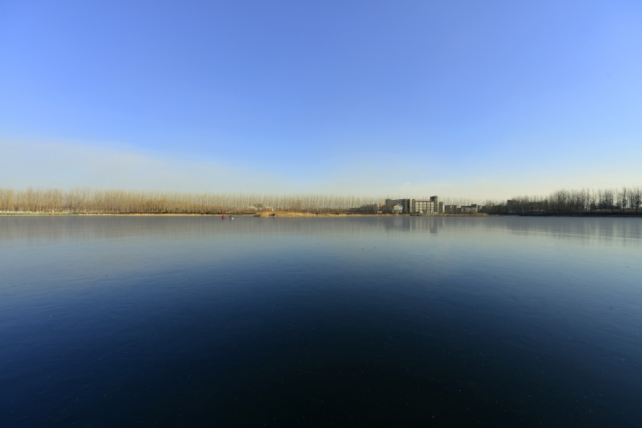 _DSC5803.jpg