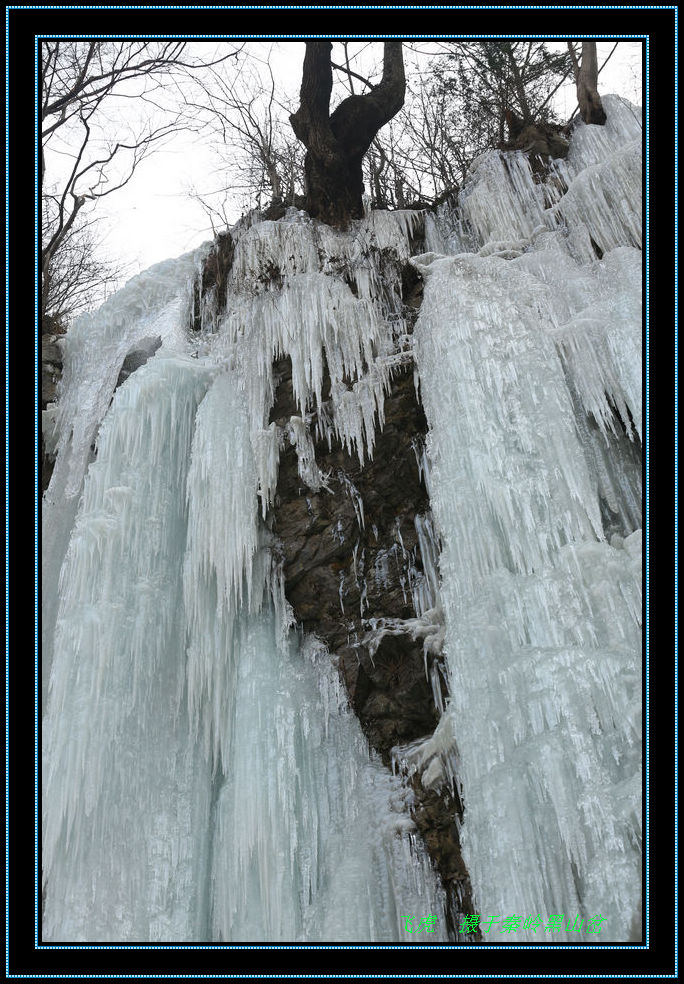 KY4A0089.JPG