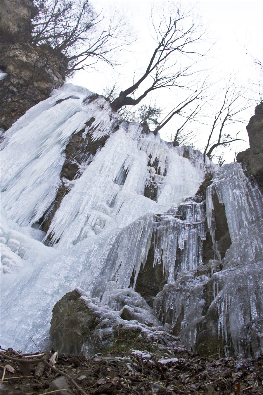 _MG_6730.jpg