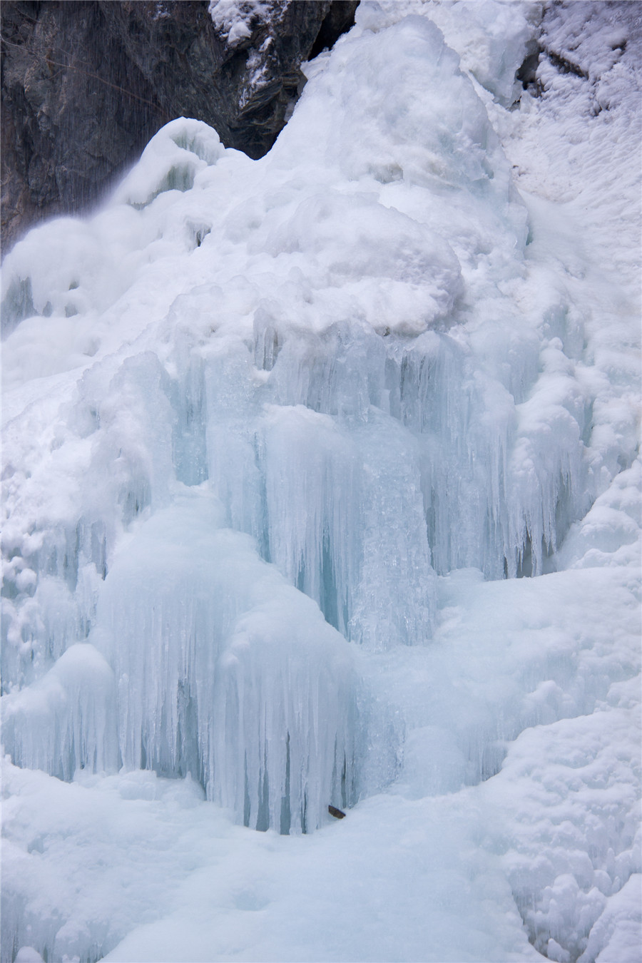 _MG_6739.jpg