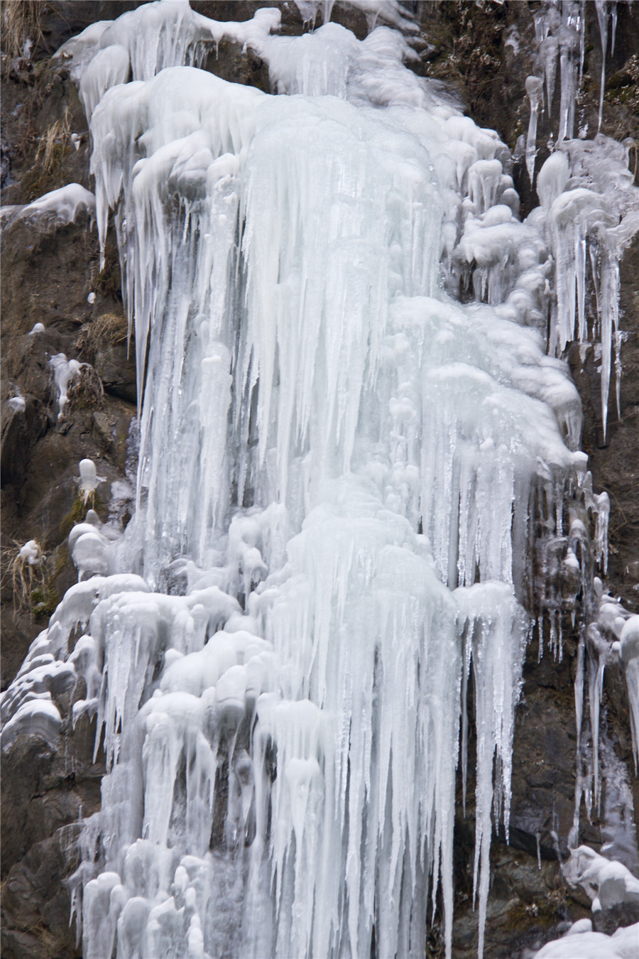 _MG_6741.jpg