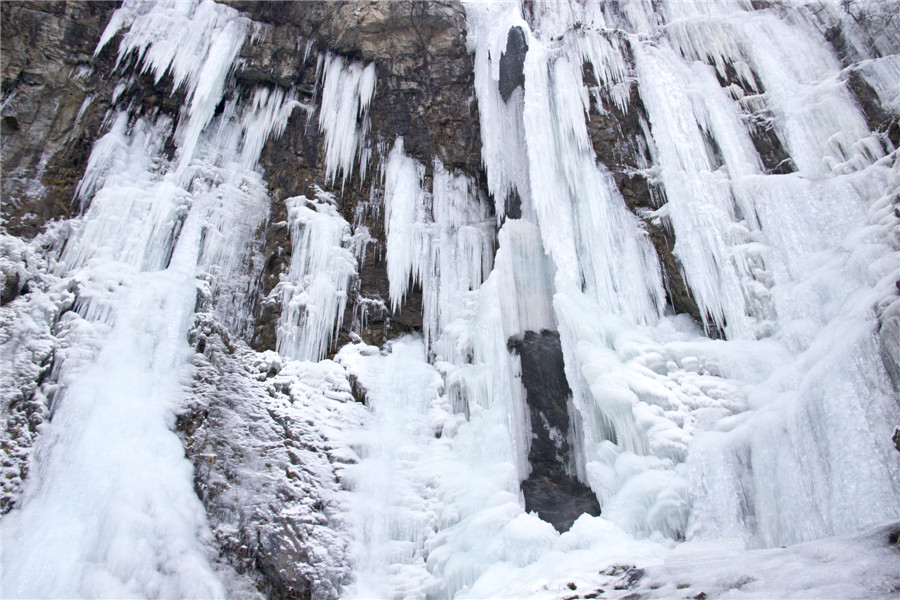 _MG_6746.jpg