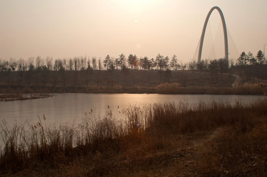IMGP9222.JPG