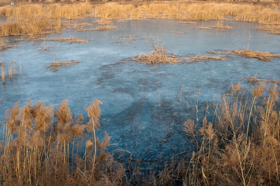 IMGP9242.JPG