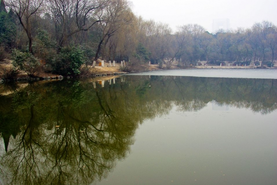 IMGP2385.jpg