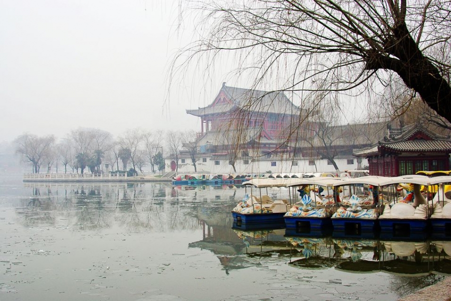 IMGP2429.jpg