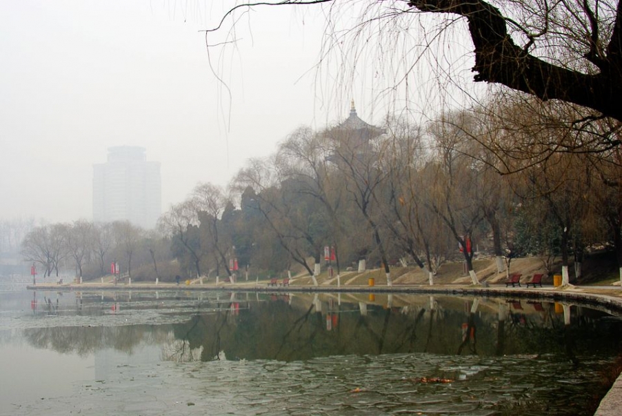 IMGP2444.jpg