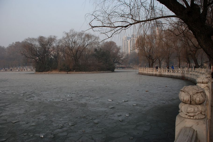 DSC_0550.JPG