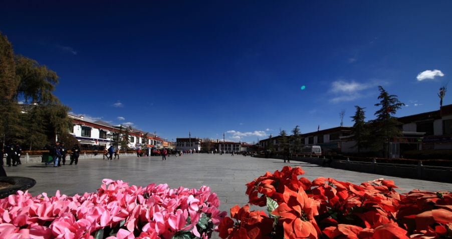_MG_5235.JPG