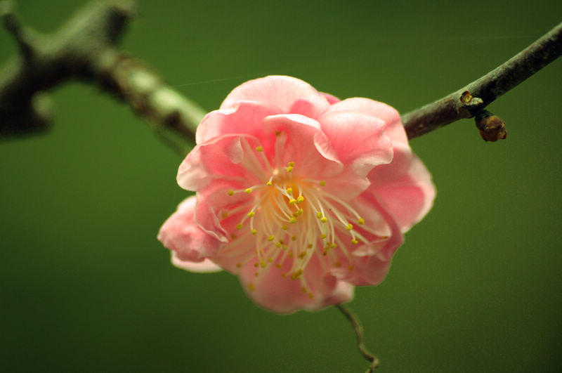 2013.1.20 00415.jpg