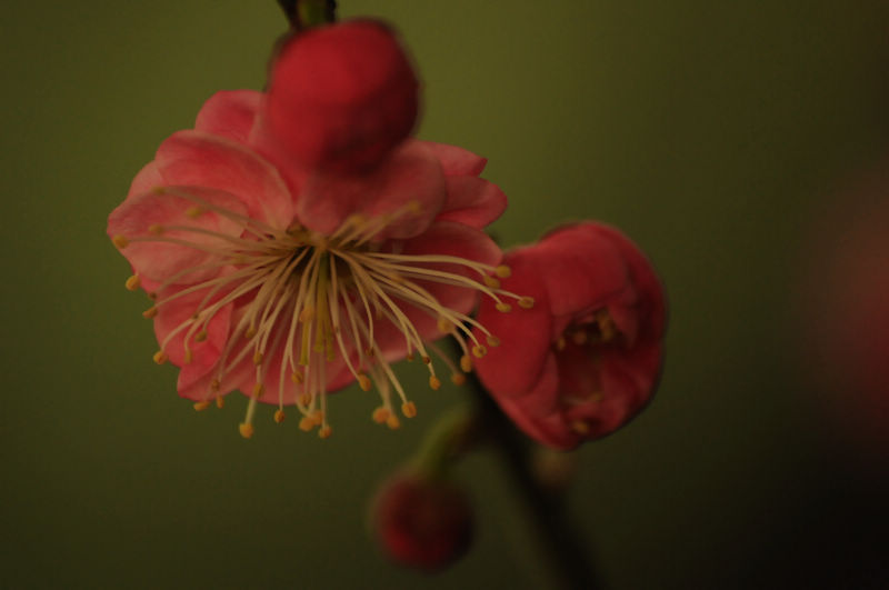 2013.1.20 01415.jpg