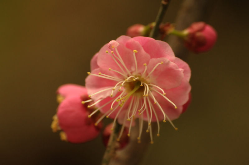 2013.1.20 02515.jpg