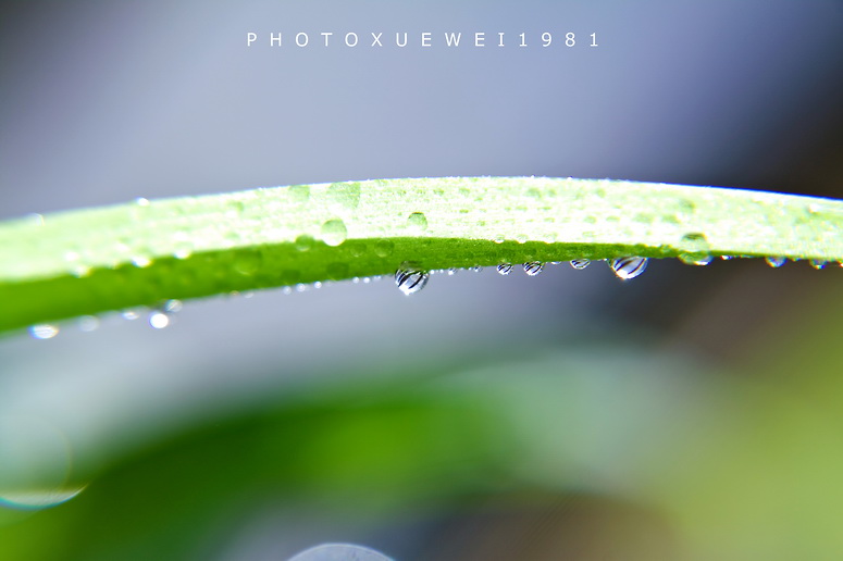 IMG_0553副本.jpg