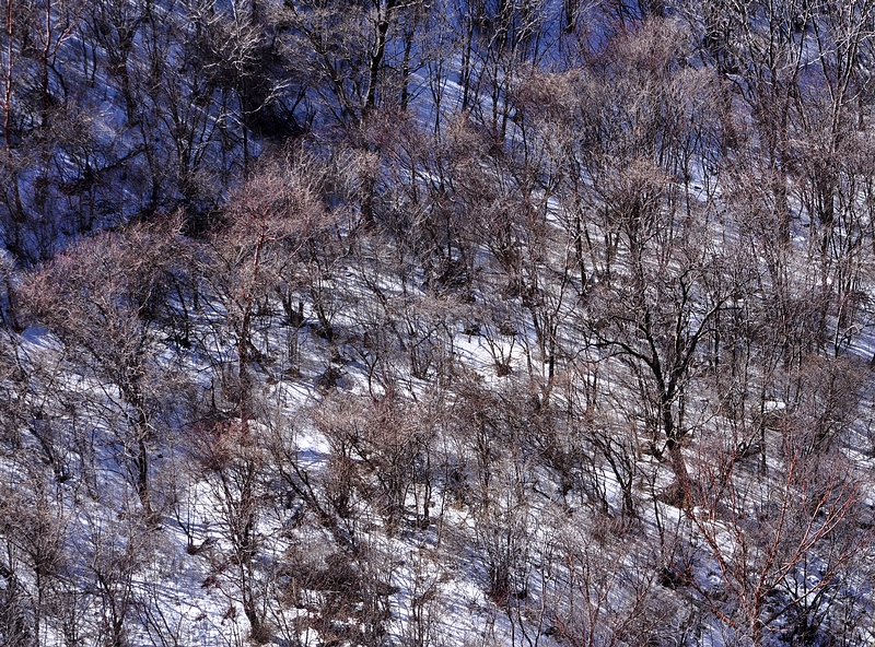 DSC_0270.jpg