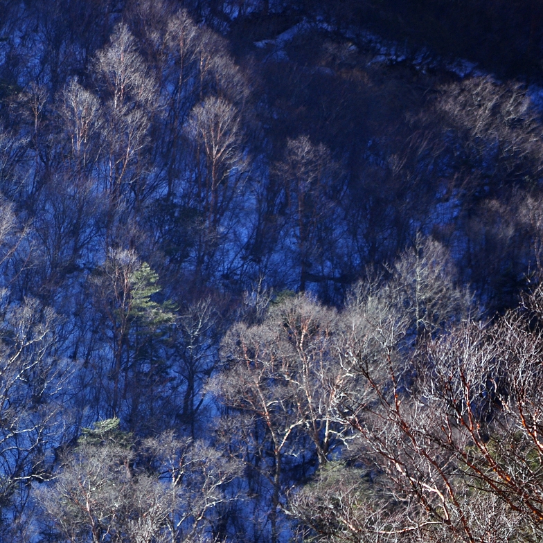 DSC_0334.jpg
