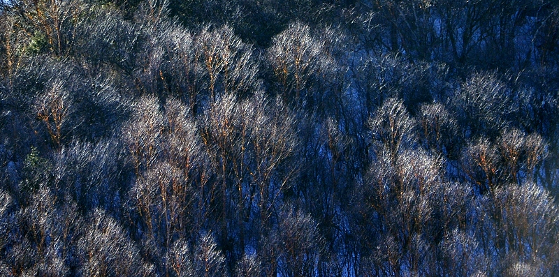 DSC_0414.jpg