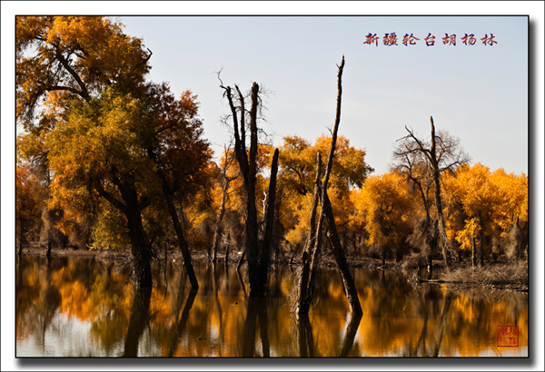 未标题-86.jpg