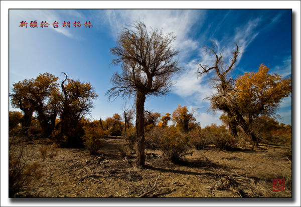 未标题-102.jpg