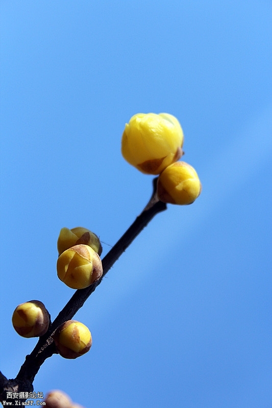 IMG_9717_副本.jpg