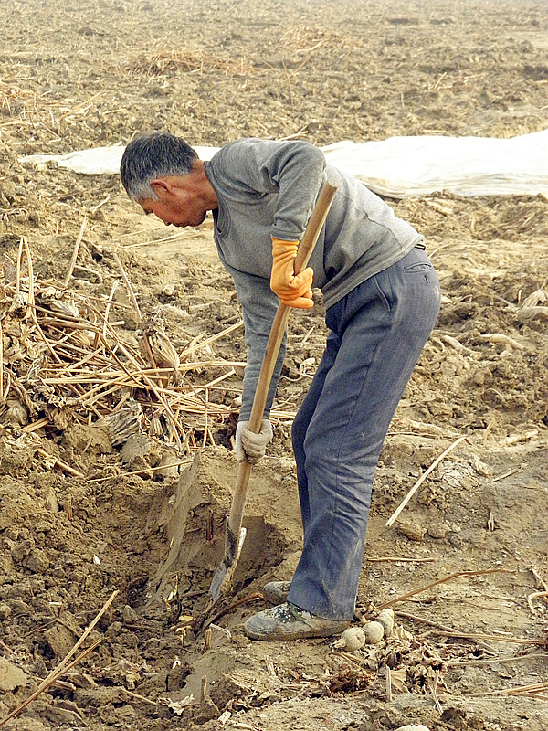 P2050004_副本.jpg