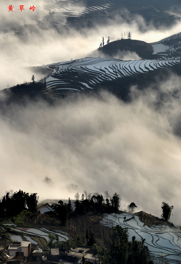 黄草岭2.jpg