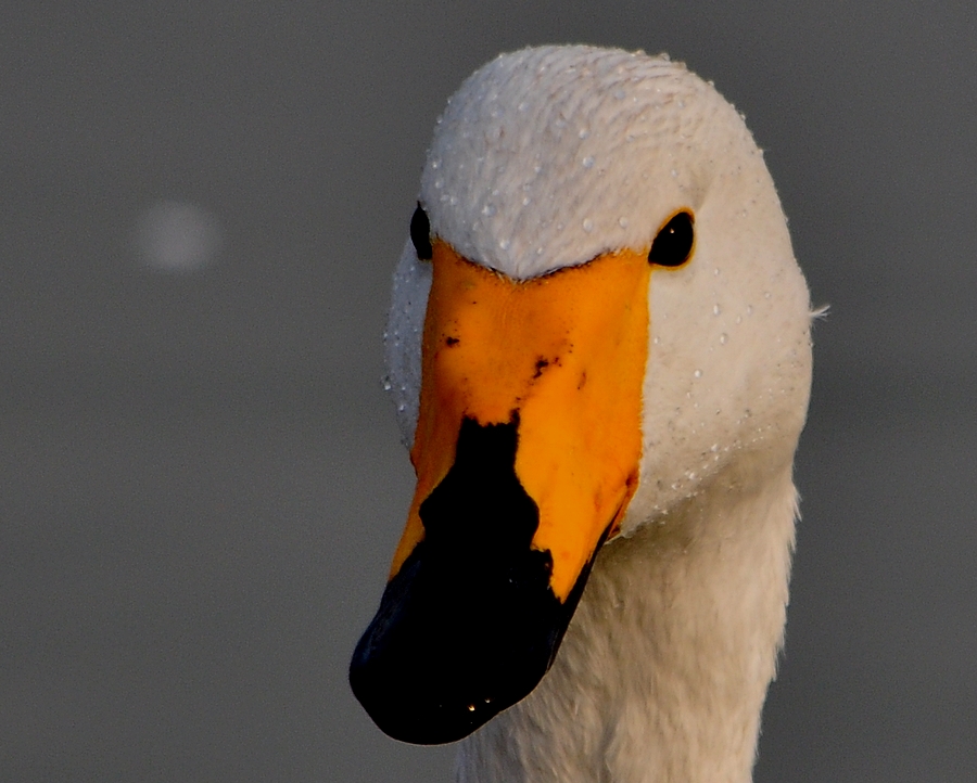 DSC_0025.jpg