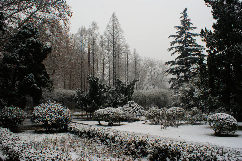 DSC00342.JPG