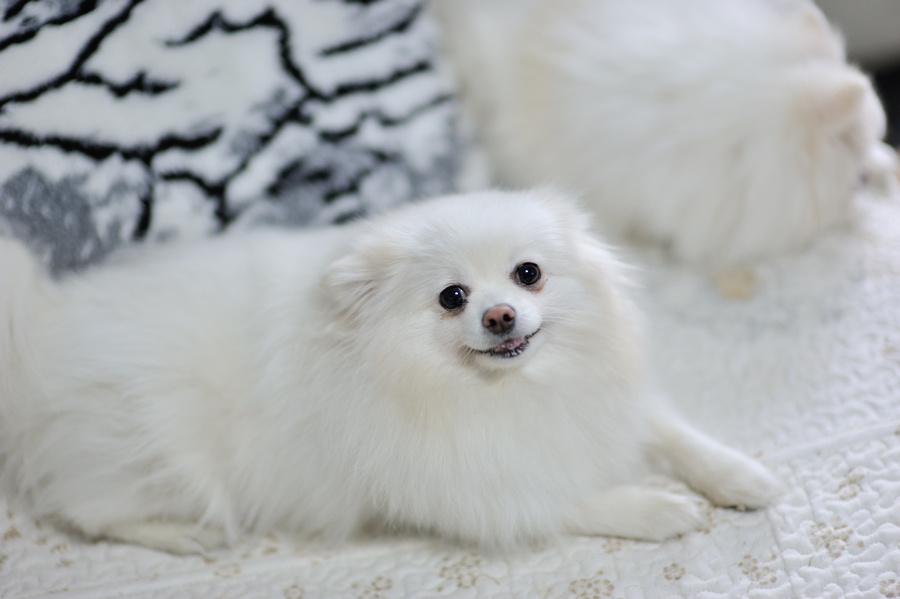 DSC_0632.jpg