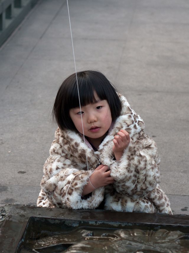 IMGP9896.jpg