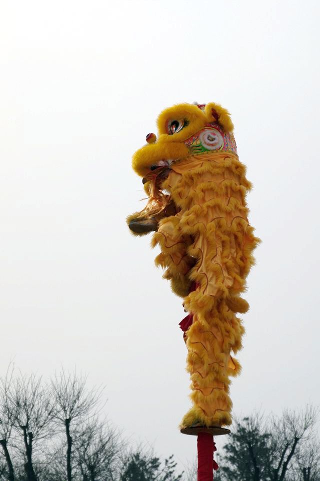 IMGP0144.jpg