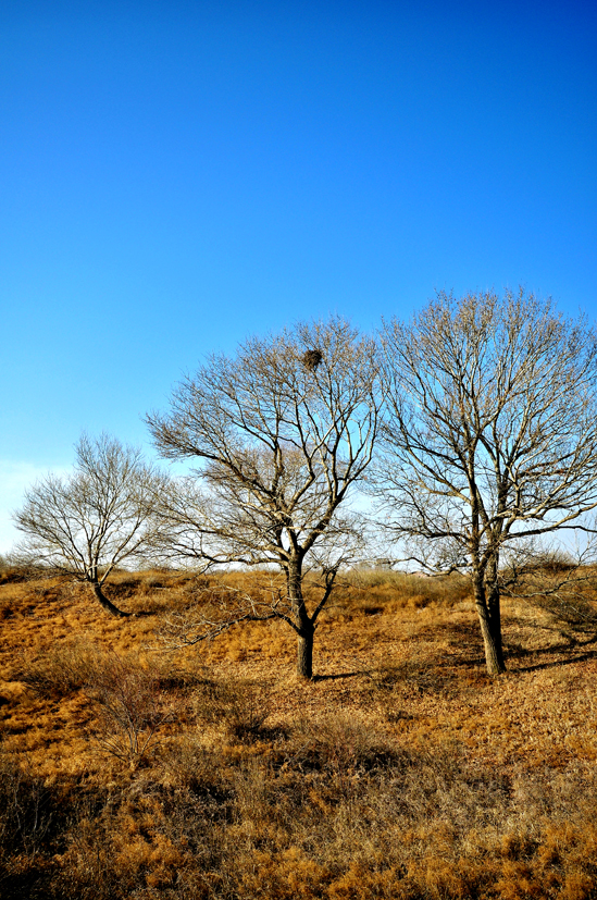 DSC_0094.JPG