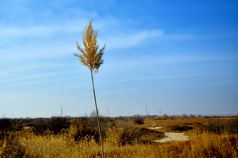 DSC_0135.JPG