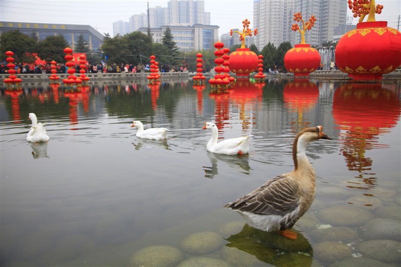 照片 126.jpg