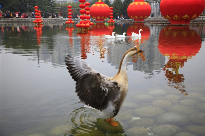 照片 062.jpg