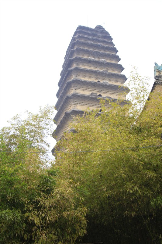 照片 071.jpg