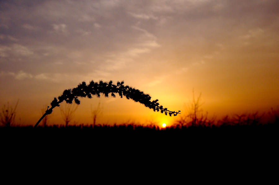 _DSC9303.jpg