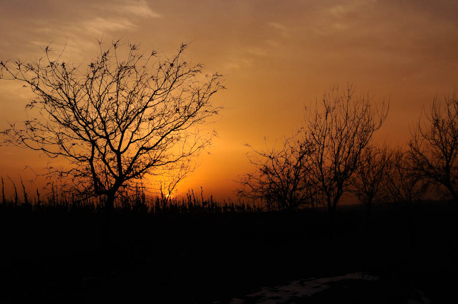 _DSC9310.jpg
