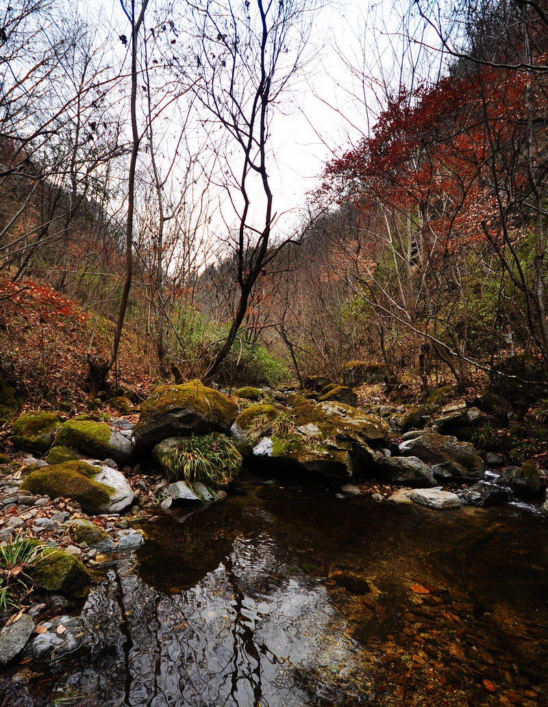 DSC_0079.jpg