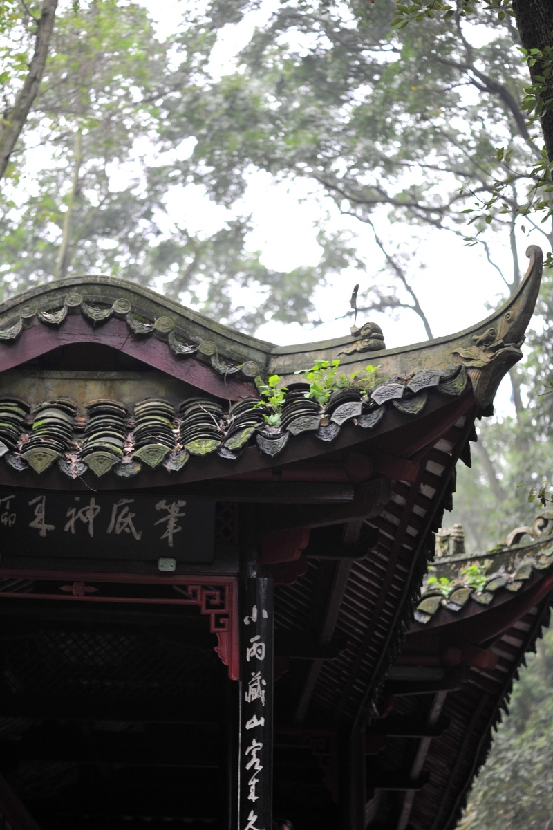 DSC_1023.JPG