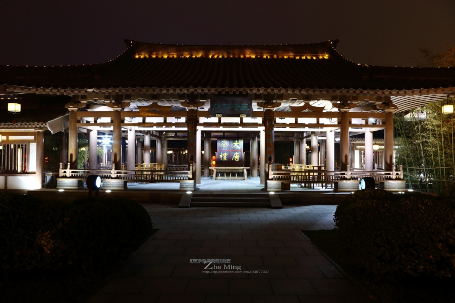 大唐芙蓉园灯展045.jpg