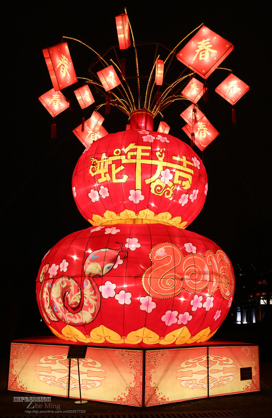 大唐芙蓉园灯展047.jpg
