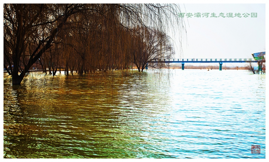 IMG_3671_副本.jpg
