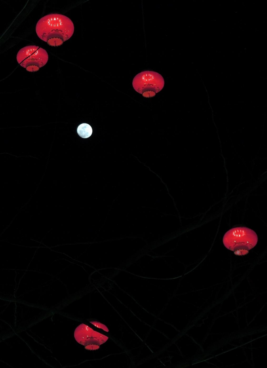nEO_IMG_DSCN2130.jpg