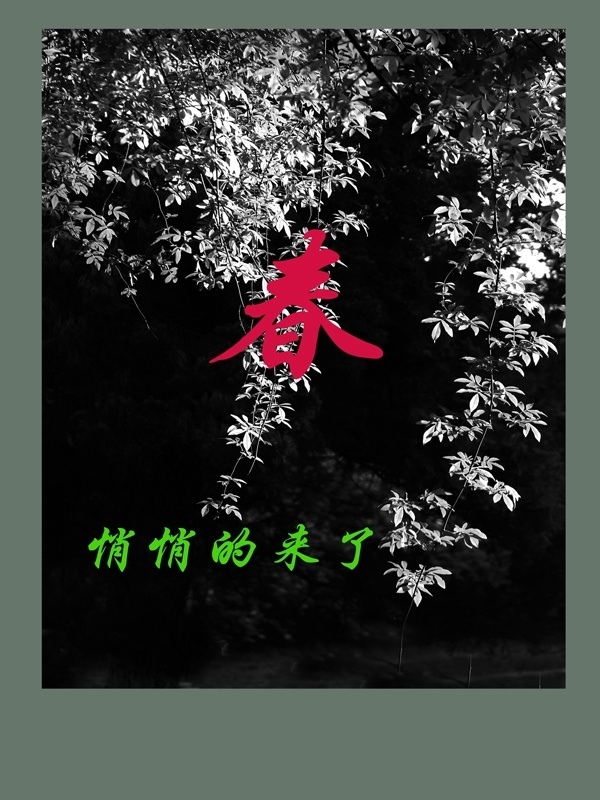 未标题-1.jpg