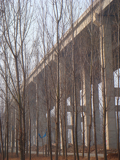 DSC02941_副本.jpg