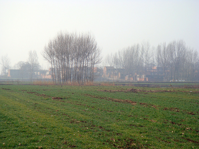 DSC02946_副本.jpg